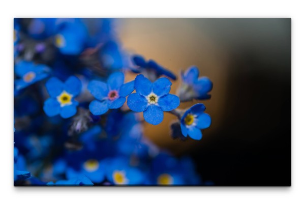 Bilder XXL blaue Blüten Wandbild auf Leinwand