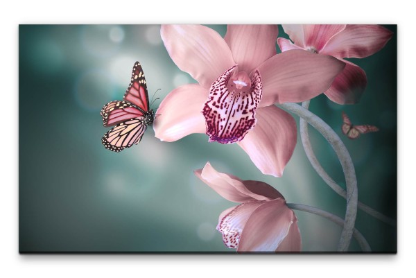 Bilder XXL Orchidee mit Schmetterling Wandbild auf Leinwand