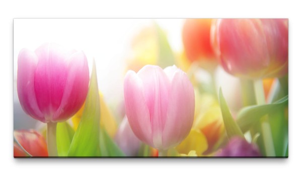 Bilder XXL Tulpen 50x100cm Wandbild auf Leinwand