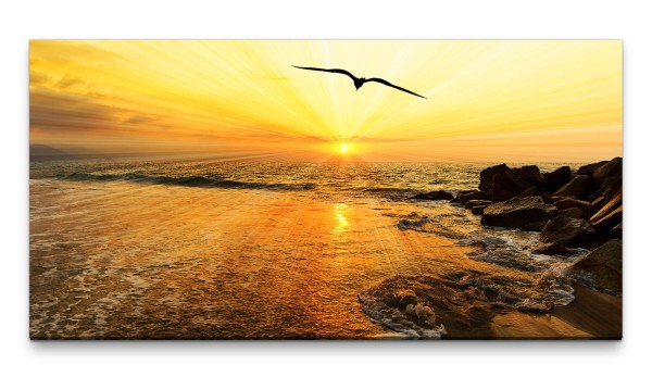 Bilder XXL Sonnenuntergang Fliegender Vogel 50x100cm Wandbild auf Leinwand