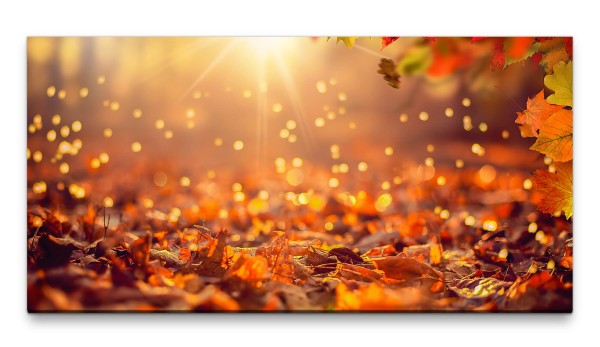 Bilder XXL Magisches Herbstlaub 50x100cm Wandbild auf Leinwand