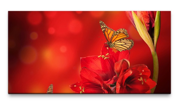 Bilder XXL Amaryllis mit Schmetterling in rot 50x100cm Wandbild auf Leinwand