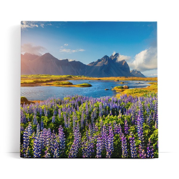 Stokksnes Inland Berge Landschaft Blumen See Natur