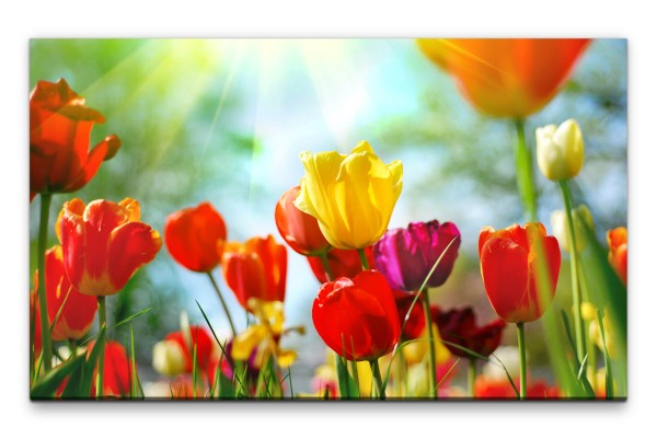 Bilder XXL Tulpen bunt Wandbild auf Leinwand