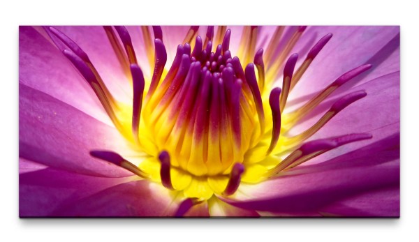 Bilder XXL Lotusblume Makro 50x100cm Wandbild auf Leinwand