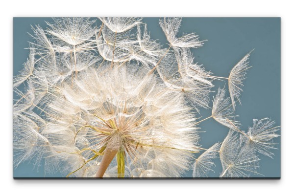 Bilder XXL Pusteblume mit fliegenden Schirmchen Wandbild auf Leinwand