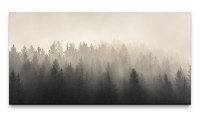 Bilder XXL Bäume im Nebel 50x100cm Wandbild auf Leinwand