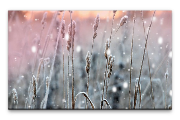 Bilder XXL Winterähren Wandbild auf Leinwand