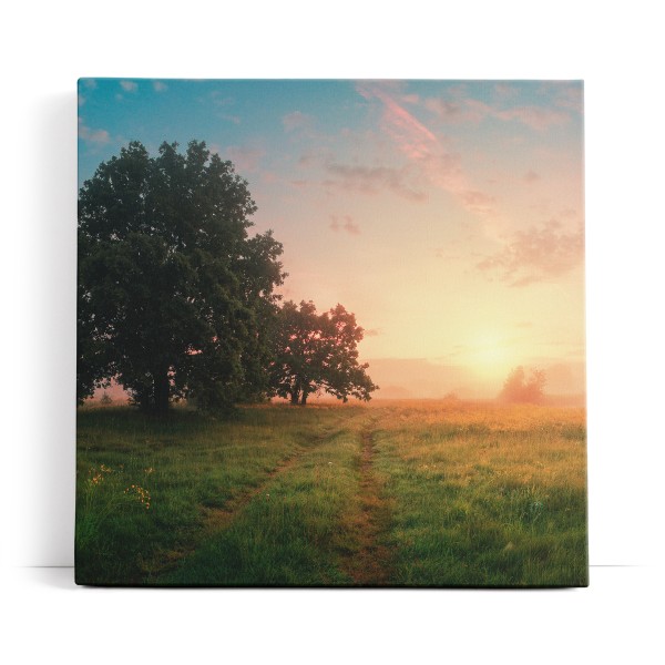 Sonnenaufgang Natur Landschaft Nebel Baum Wiese