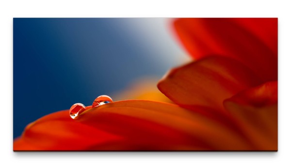 Bilder XXL rote Blüte 50x100cm Wandbild auf Leinwand