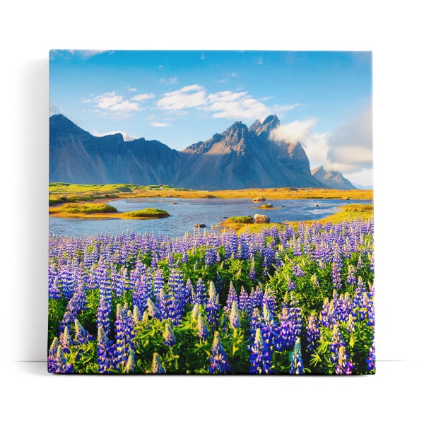 Island Landschaft Berg Blumen Blau See Natur