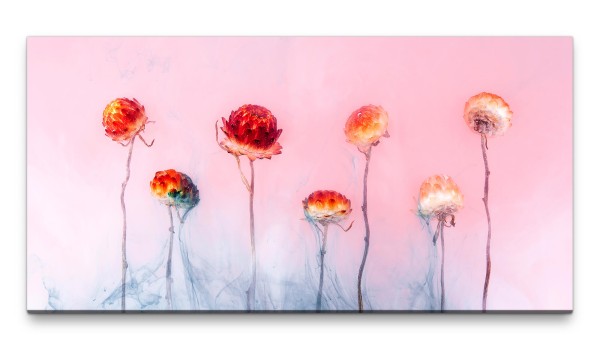 Bilder XXL rote Blüte auf rosa 50x100cm Wandbild auf Leinwand