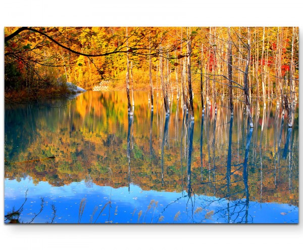 Herbstwald - Leinwandbild