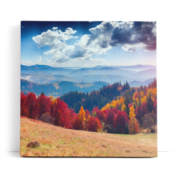 Berge Tannenwald Wald Wolken Natur Landschaft