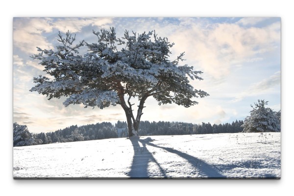 Bilder XXL Baum im Schnee Wandbild auf Leinwand