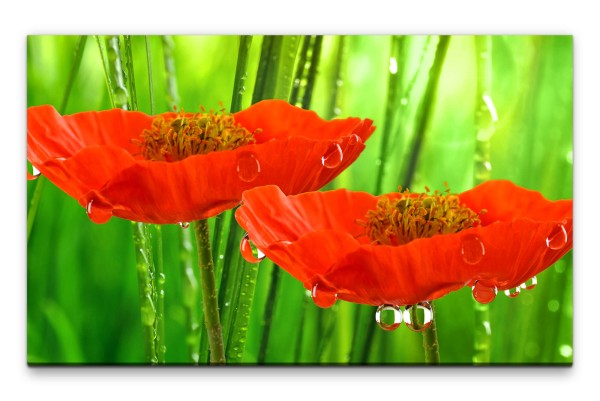 Bilder XXL Tautropfen auf Klatschmohn Wandbild auf Leinwand