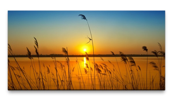 Bilder XXL Grashalme am Wasser 50x100cm Wandbild auf Leinwand