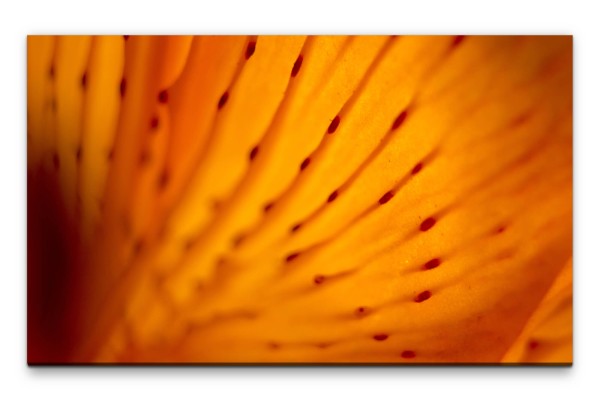 Bilder XXL Orangene Blüte Makro Wandbild auf Leinwand