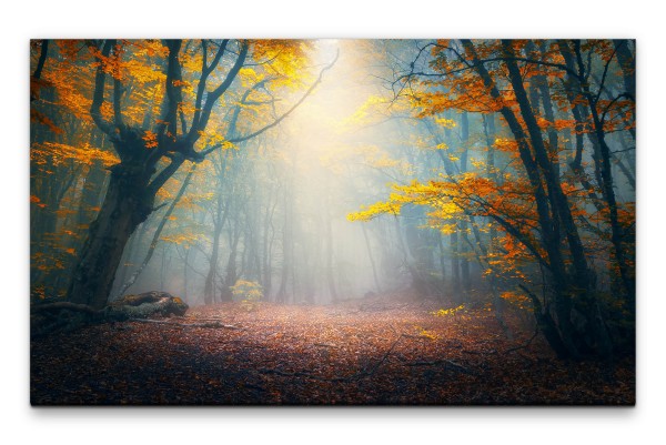 Bilder XXL Herbstwaldlichtung Wandbild auf Leinwand