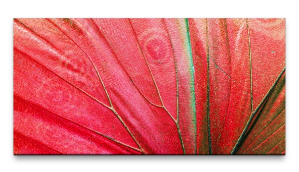 Bilder XXL Schmetterlingsflügel rosa 50x100cm Wandbild auf Leinwand