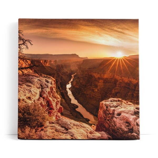 Grand Canyon USA Sonnenuntergang Fluss Baum