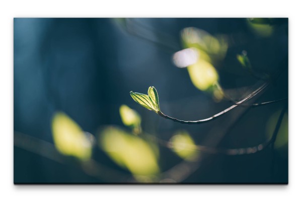 Bilder XXL Frühlingserwachen Wandbild auf Leinwand