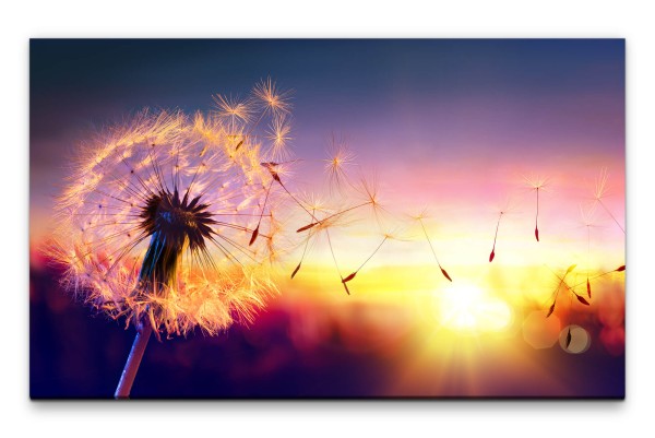 Bilder XXL Pusteblume im Sonnenuntergang Wandbild auf Leinwand