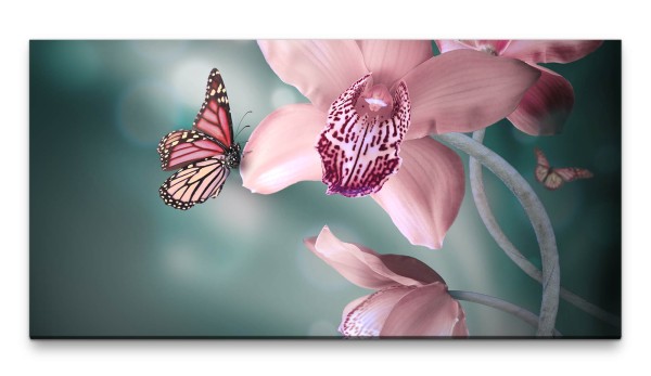 Bilder XXL Orchidee mit Schmetterling 50x100cm Wandbild auf Leinwand