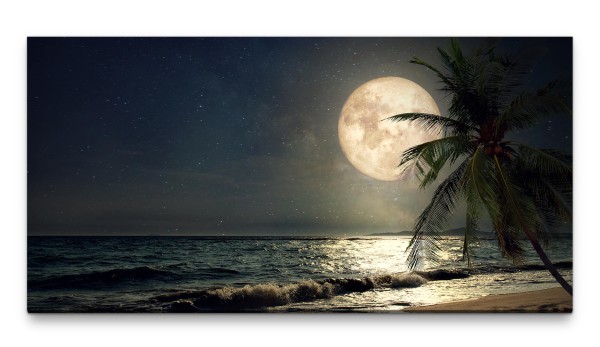 Bilder XXL Vollmond am Strand 50x100cm Wandbild auf Leinwand