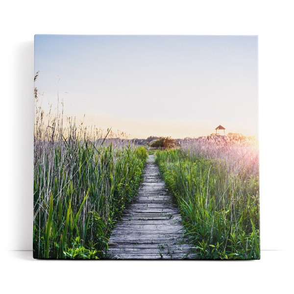 Sommer Sonnenaufgang Holzweg Natur Gras Strandweg