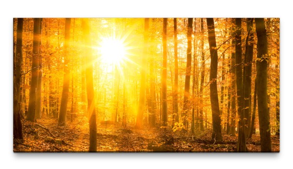 Bilder XXL Sonnenuntergang im Wald 50x100cm Wandbild auf Leinwand