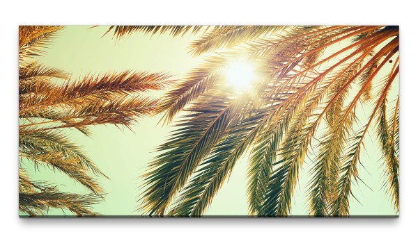 Bilder XXL Palmwedel im Sonnenschein 50x100cm Wandbild auf Leinwand