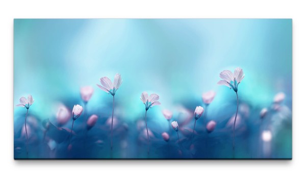 Bilder XXL Zarte pinke Blüten 50x100cm Wandbild auf Leinwand