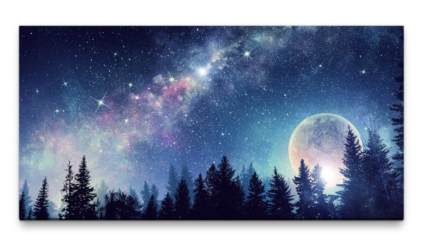 Bilder XXL Vollmond am Sternenhimmel 50x100cm Wandbild auf Leinwand