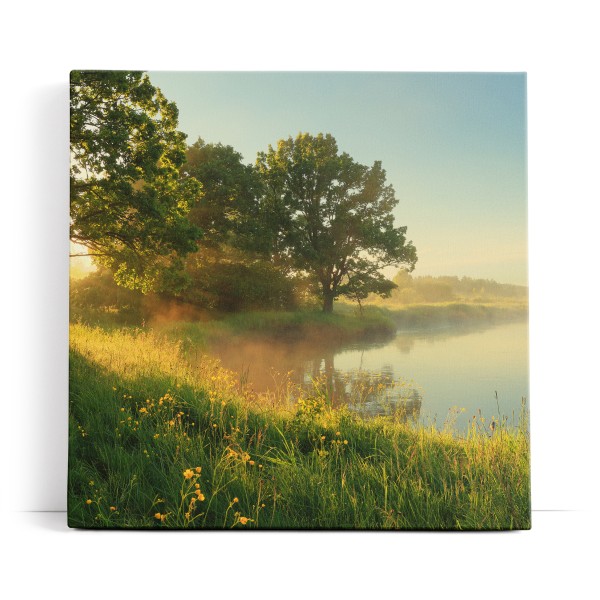 Fluss Morgentau Sonnenaufgang Wiese Bäume Natur