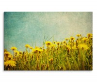 120x80cm Wandbild Löwenzahn Blumenwiese vintage