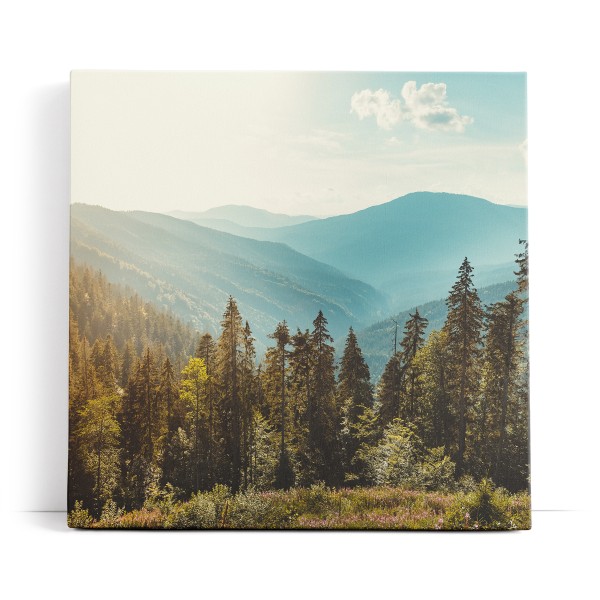 Berglandschaft Berge Gebirge Tannen Natur