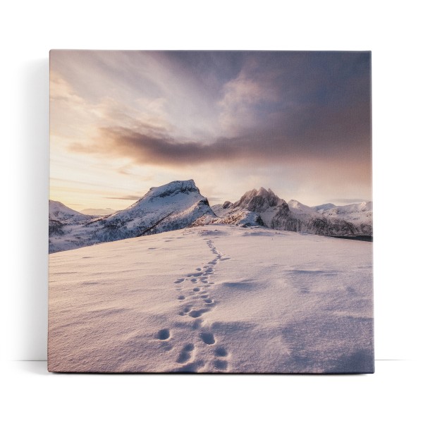 Berggipfel Schneegipfel Schnee Berge Gebirge