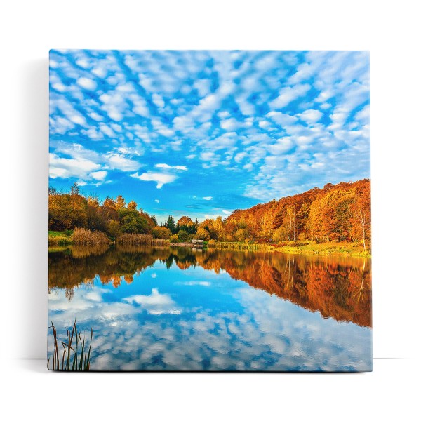 See blauer Himmel Wald Natur Cirrus Wolken Herbst