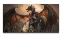 Bilder XXL Drache auf Burg 50x100cm Wandbild auf Leinwand