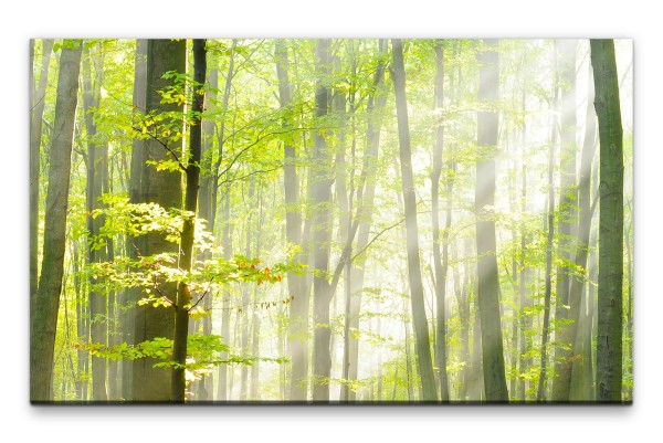 Bilder XXL Wald im Herbst Wandbild auf Leinwand