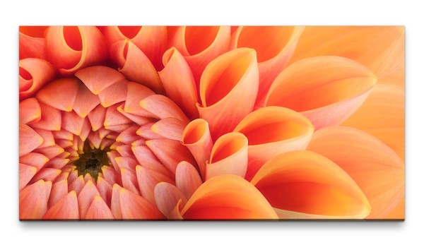 Bilder XXL orange Bllüte 50x100cm Wandbild auf Leinwand