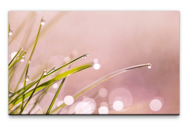 Bilder XXL Grass mit Tautropfen Wandbild auf Leinwand