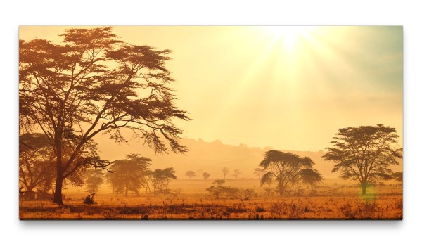 Bilder XXL Afrika Savanne 50x100cm Wandbild auf Leinwand