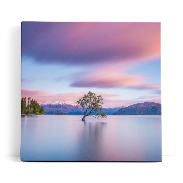 Einsamer Baum im See Berge Schneegipfel Natur