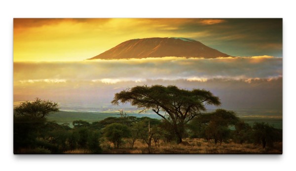 Bilder XXL Kilimandscharo in den Wolken 50x100cm Wandbild auf Leinwand