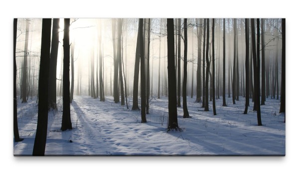 Bilder XXL Winterwald 50x100cm Wandbild auf Leinwand