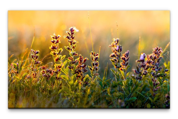 Bilder XXL wilde Blumen Wandbild auf Leinwand