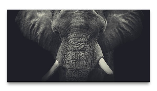 Bilder XXL Elefant schwarz weiss 50x100cm Wandbild auf Leinwand