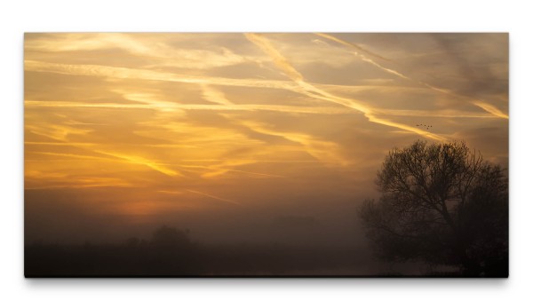 Bilder XXL Sonnenaufgang im Nebel 50x100cm Wandbild auf Leinwand